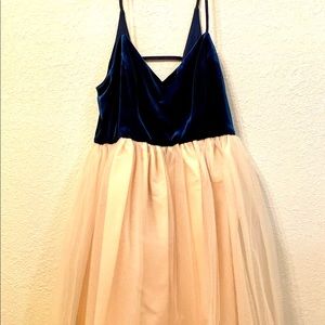 Lauren Conrad Runway Velvet & Tulle Dress
